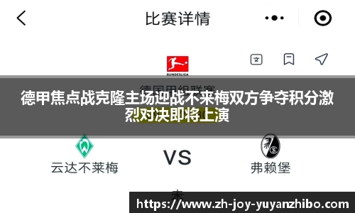 雨燕体育直播平台