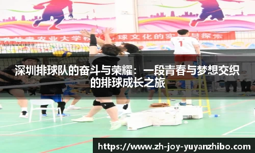 深圳排球队的奋斗与荣耀：一段青春与梦想交织的排球成长之旅