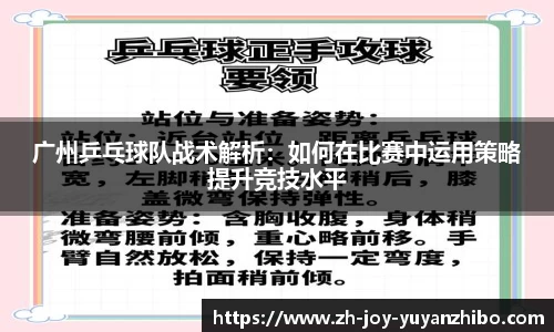 雨燕体育直播平台