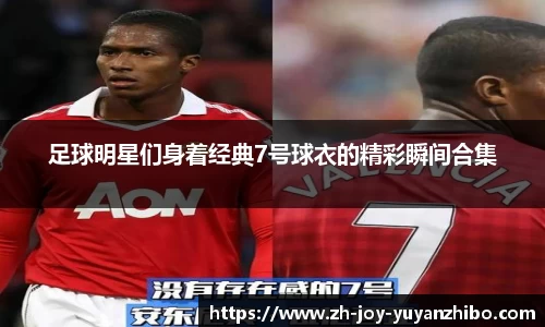 雨燕体育直播APP