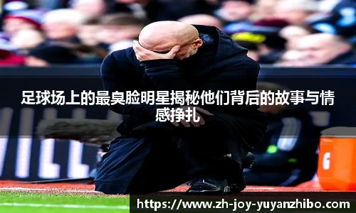 雨燕体育直播平台