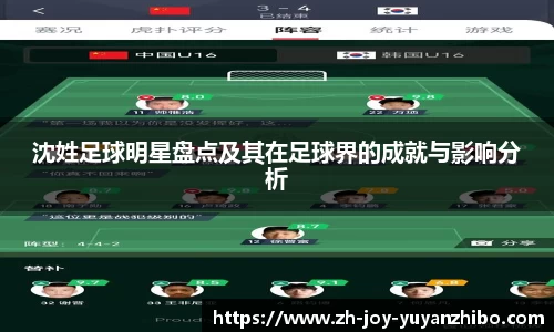 雨燕体育直播平台