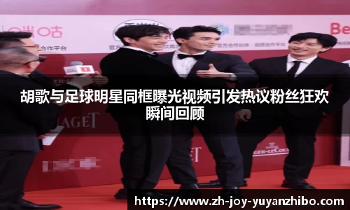 雨燕体育直播官方网站