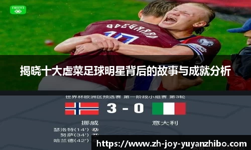 雨燕体育直播APP