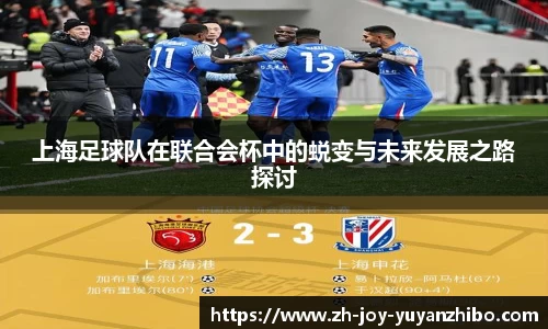 雨燕体育直播平台