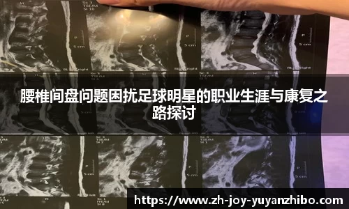 雨燕体育直播官方网站